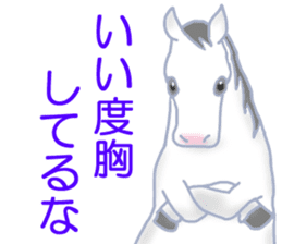 My sweet white horse sticker #11048401