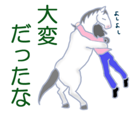 My sweet white horse sticker #11048416