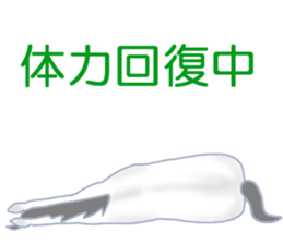 My sweet white horse sticker #11048421