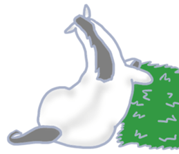 My sweet white horse sticker #11048429