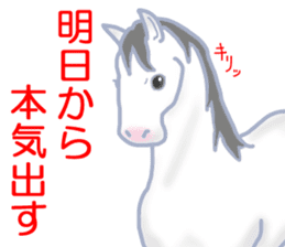 My sweet white horse sticker #11048431