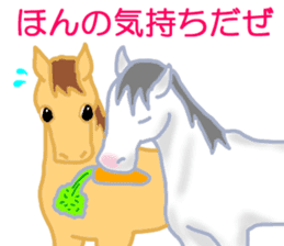 My sweet white horse sticker #11048433