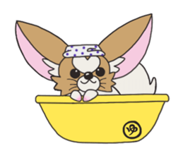 Four seasons of papillon in Japan. sticker #11052574