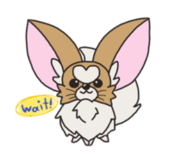 Four seasons of papillon in Japan. sticker #11052583