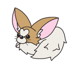 Four seasons of papillon in Japan. sticker #11052598