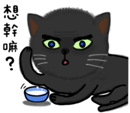 Animals love to chat1 sticker #11055291