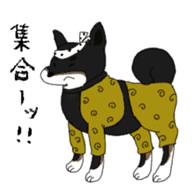 omatsuri-wanwan sticker #11056385