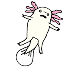 Axolotl Parks sticker #11056775