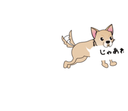 A Chihuahua called "ichi" sticker #11058569