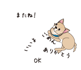 A Chihuahua called "ichi" sticker #11058576