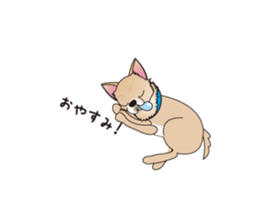 A Chihuahua called "ichi" sticker #11058581