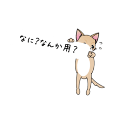 A Chihuahua called "ichi" sticker #11058582
