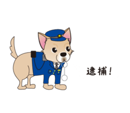A Chihuahua called "ichi" sticker #11058585