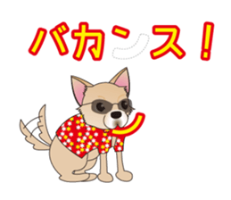 A Chihuahua called "ichi" sticker #11058588
