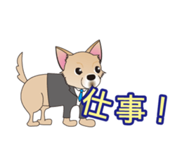 A Chihuahua called "ichi" sticker #11058589