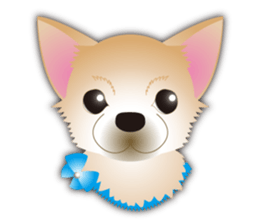 A Chihuahua called "ichi" sticker #11058592