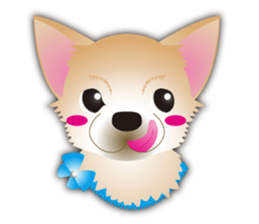 A Chihuahua called "ichi" sticker #11058594