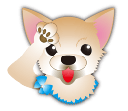 A Chihuahua called "ichi" sticker #11058595