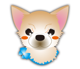 A Chihuahua called "ichi" sticker #11058597