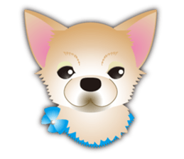 A Chihuahua called "ichi" sticker #11058599