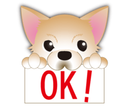 A Chihuahua called "ichi" sticker #11058601