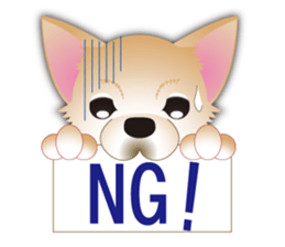 A Chihuahua called "ichi" sticker #11058602