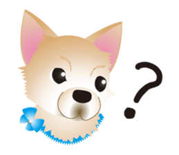 A Chihuahua called "ichi" sticker #11058603