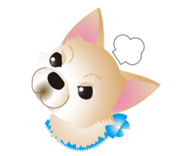 A Chihuahua called "ichi" sticker #11058605