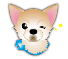 A Chihuahua called "ichi" sticker #11058606
