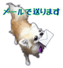 Komaru of a Chihuahua Business Version sticker #11058612