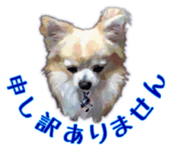 Komaru of a Chihuahua Business Version sticker #11058617
