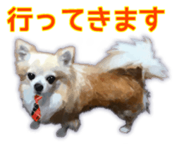 Komaru of a Chihuahua Business Version sticker #11058620