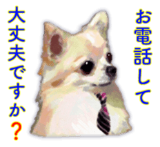 Komaru of a Chihuahua Business Version sticker #11058623