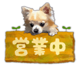Komaru of a Chihuahua Business Version sticker #11058632