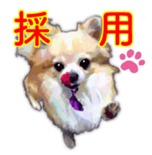 Komaru of a Chihuahua Business Version sticker #11058636