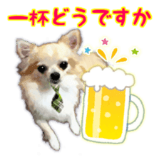 Komaru of a Chihuahua Business Version sticker #11058644