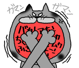 Cat cat  chat sticker #11059085