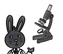 BlackRabbitStickers sticker #11059817