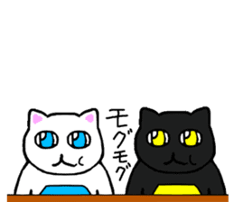 Cat stare sticker #11061020