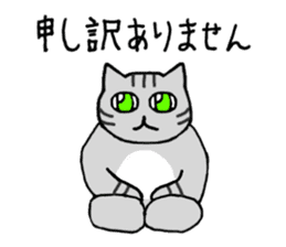 Cat stare sticker #11061035