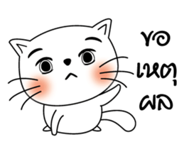 Life of Cats2 sticker #11062220