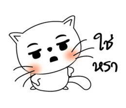 Life of Cats2 sticker #11062243