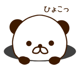 close-up Panda2 sticker #11063818