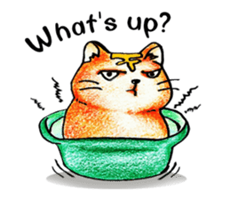 Lazy Persian (English) sticker #11064811