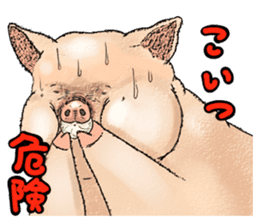 pig 03 sticker #11065517