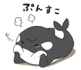 Of killer whales, Shatchi 2 sticker #11072759