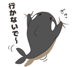Of killer whales, Shatchi 2 sticker #11072760