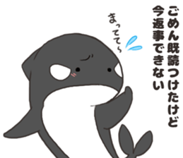 Of killer whales, Shatchi 2 sticker #11072766