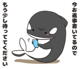 Of killer whales, Shatchi 2 sticker #11072767