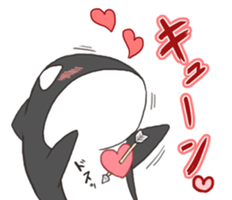 Of killer whales, Shatchi 2 sticker #11072773